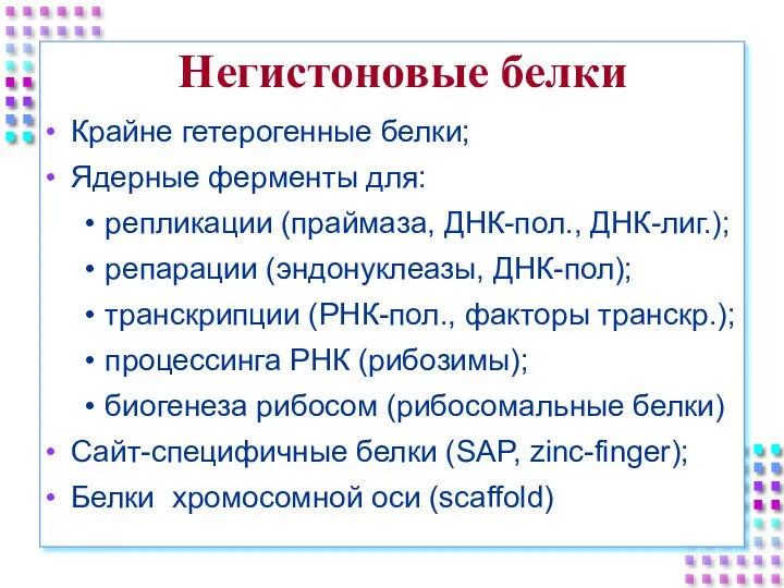 Негистоновые белки Крайне гетерогенные белки; Ядерные ферменты для: репликации (праймаза, ДНК-пол., ДНК-лиг.);