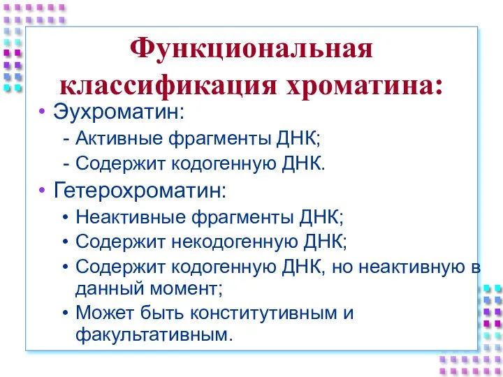 Функциональная классификация хроматина: Эухроматин: Активные фрагменты ДНК; Содержит кодогенную ДНК. Гетерохроматин: Неактивные