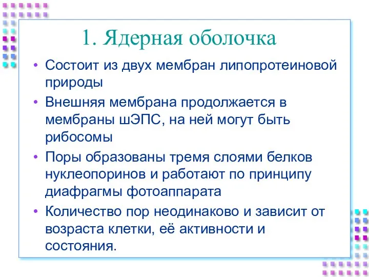 1. Ядерная оболочка Состоит из двух мембран липопротеиновой природы Внешняя мембрана продолжается