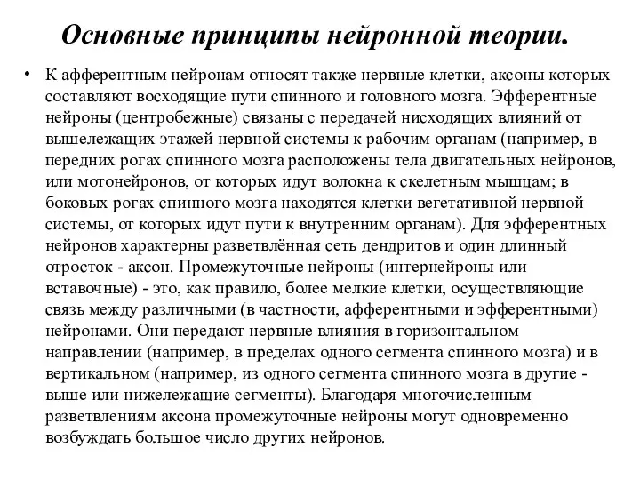 Основные принципы нейронной теории. К афферентным нейронам относят также нервные клетки, аксоны