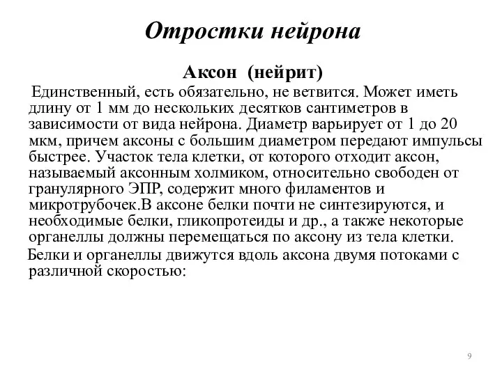 Отростки нейрона Аксон (нейрит) Единственный, есть обязательно, не ветвится. Может иметь длину