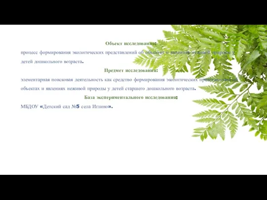 Объект исследования: процесс формирования экологических представлений об объектах и явлениях неживой природы