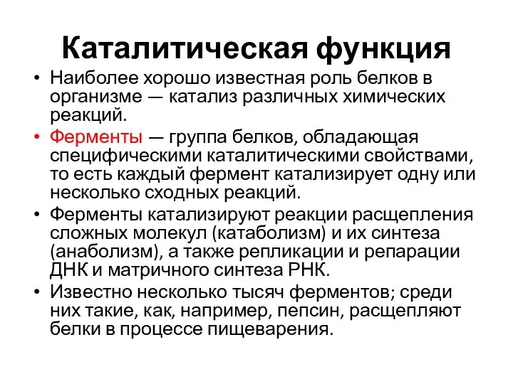 Каталитическая функция Наиболее хорошо известная роль белков в организме — катализ различных