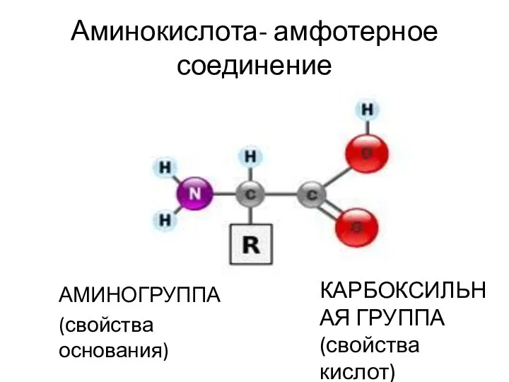 Аминокислота- амфотерное соединение АМИНОГРУППА (свойства основания) КАРБОКСИЛЬНАЯ ГРУППА (свойства кислот)