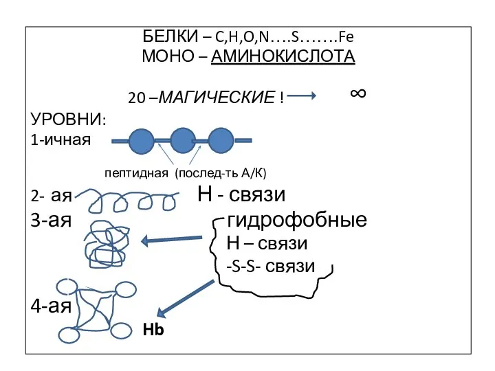 БЕЛКИ – C,H,O,N….S…….Fe МОНО – АМИНОКИСЛОТА 20 –МАГИЧЕСКИЕ ! ∞ УРОВНИ: 1-ичная