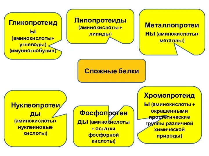 Гликопротеиды (аминокислоты+ углеводы) (имунноглобулин) Нуклеопротеиды (аминокислоты+ нуклеиновые кислоты) Фосфопротеиды (аминокислоты + остатки