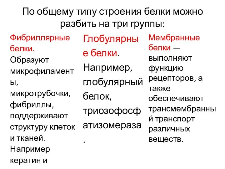 По общему типу строения белки можно разбить на три группы: Фибриллярные белки.