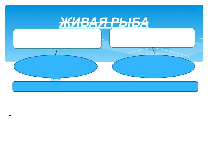 ЖИВАЯ РЫБА ПРУДОВАЯ ОЗЕРНО-РЕЧНАЯ карп, толстолобик, бестер, форель, сом сазан, карась, щука,