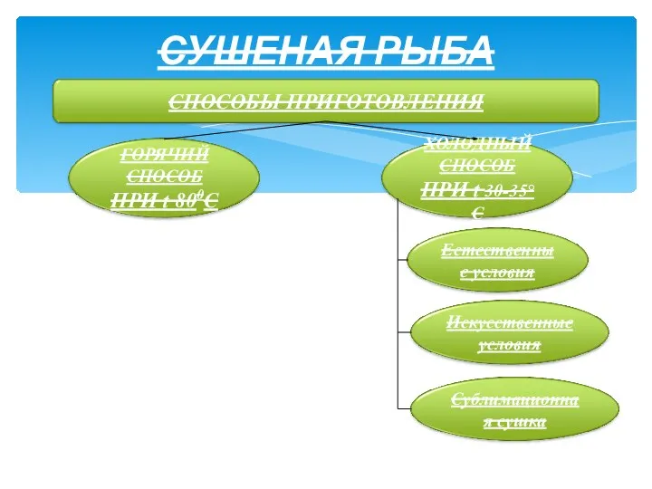 СУШЕНАЯ РЫБА