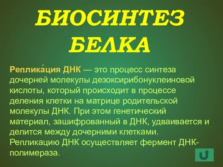 БИОСИНТЕЗ БЕЛКА Реплика́ция ДНК — это процесс синтеза дочерней молекулы дезоксирибонуклеиновой кислоты,