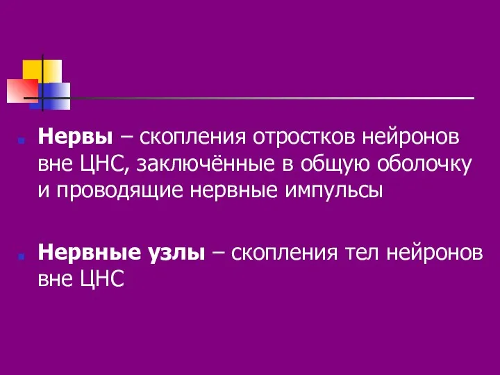 Нервы – скопления отростков нейронов вне ЦНС, заключённые в общую оболочку и