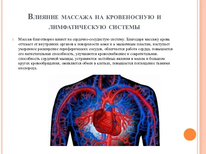 Влияние массажа на кровеносную и лимфатическую системы Массаж благотворно влияет на сердечно-сосудистую