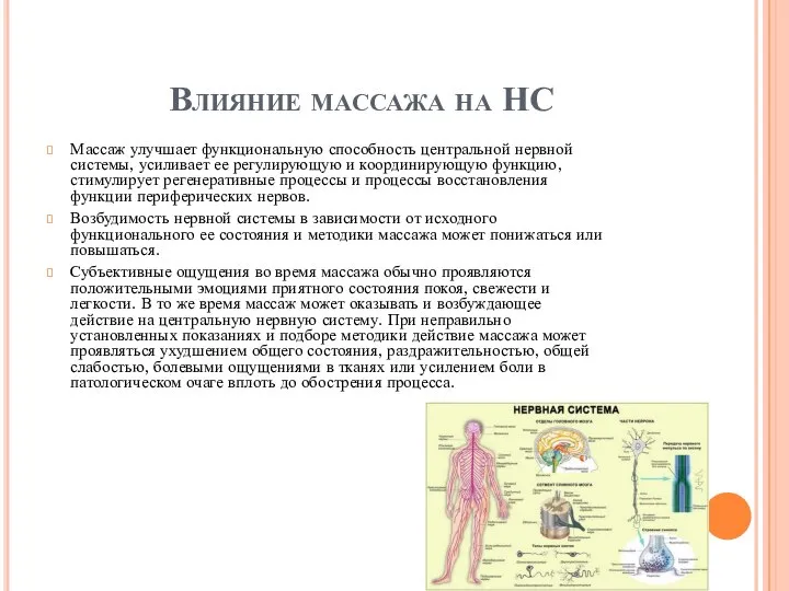 Влияние массажа на НС Массаж улучшает функциональную способность центральной нервной системы, усиливает