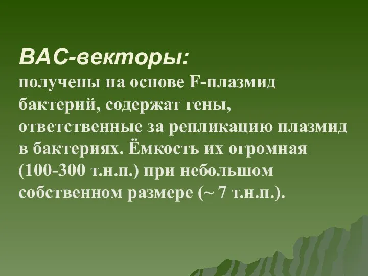 BAC-векторы: получены на основе F-плазмид бактерий, содержат гены, ответственные за репликацию плазмид