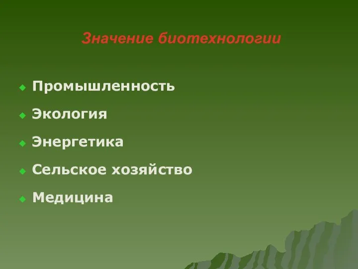 Значение биотехнологии Промышленность Экология Энергетика Сельское хозяйство Медицина