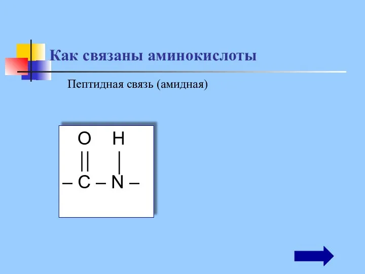 O H – С – N – Как связаны аминокислоты Пептидная связь (амидная)