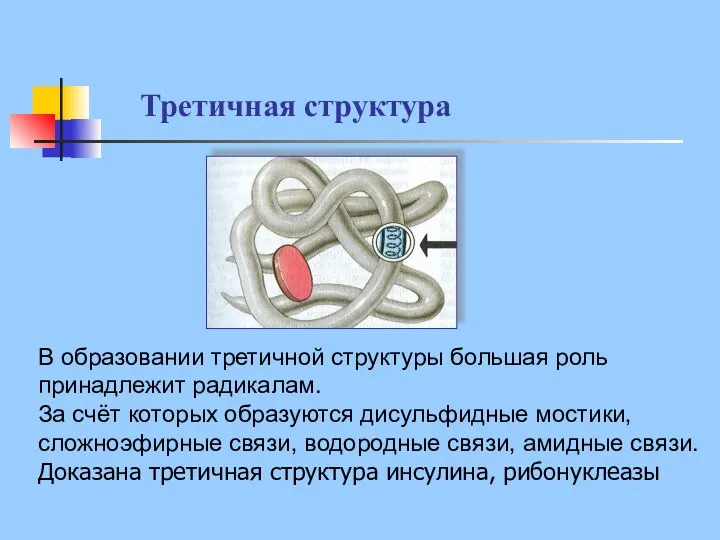 В образовании третичной структуры большая роль принадлежит радикалам. За счёт которых образуются