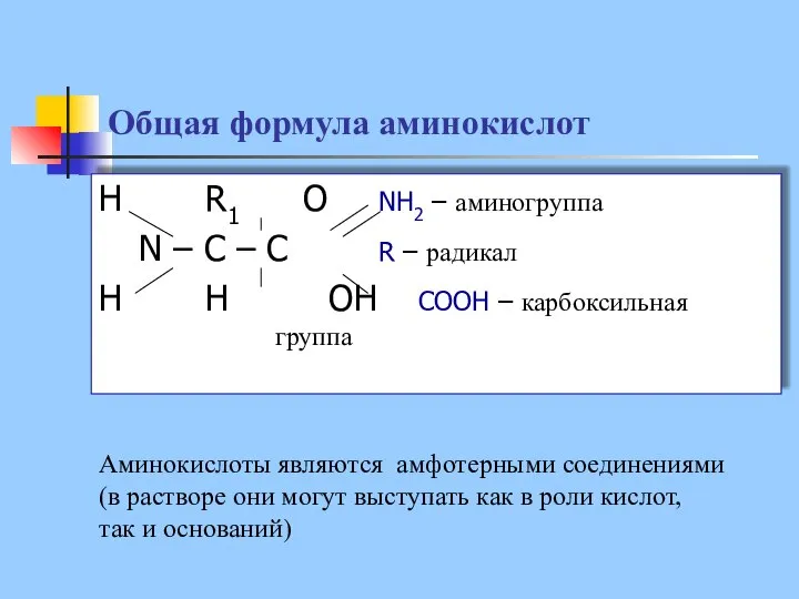 Общая формула аминокислот H R1 O NH2 – аминогруппа N – C