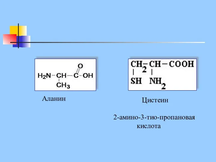 Аланин Цистеин 2-амино-3-тио-пропановая кислота