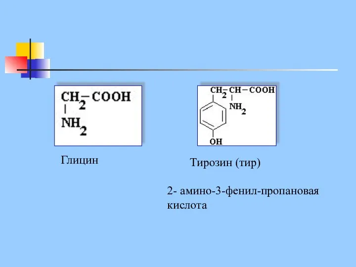 Глицин Тирозин (тир) 2- амино-3-фенил-пропановая кислота