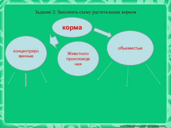 Задание 2: Заполнить схему растительных кормов корма концентрированные объемистые Животного происхождения