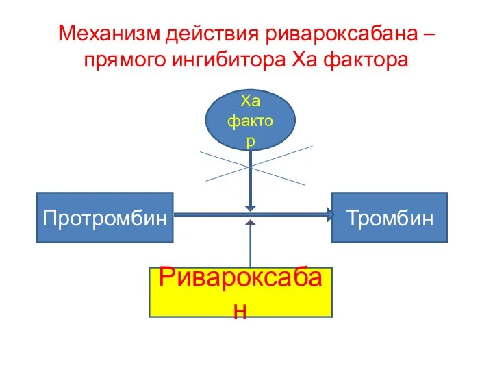 Механизм действия ривароксабана – прямого ингибитора Ха фактора Протромбин Тромбин Ха фактор Ривароксабан