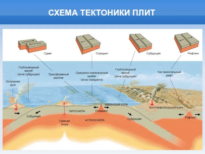 СХЕМА ТЕКТОНИКИ ПЛИТ