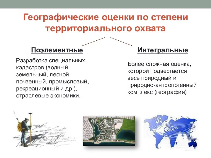 Географические оценки по степени территориального охвата Поэлементные Интегральные Разработка специальных кадастров (водный,