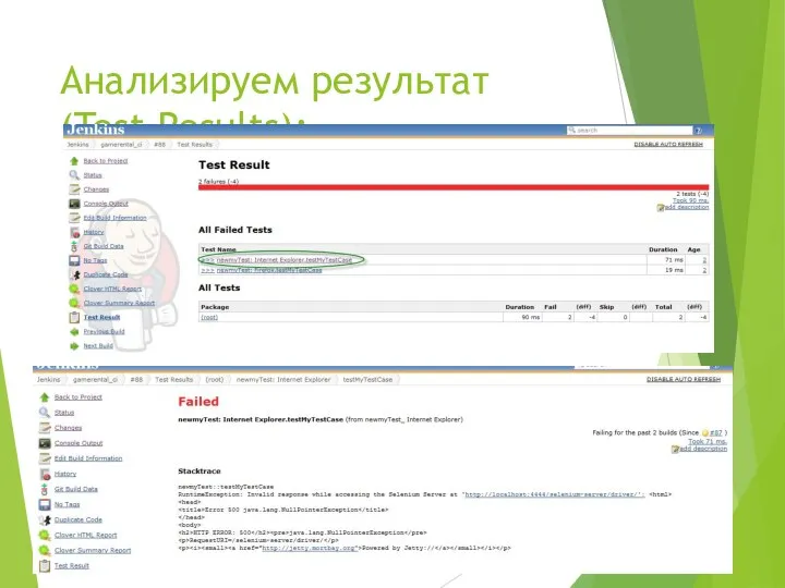 Анализируем результат (Test Results):