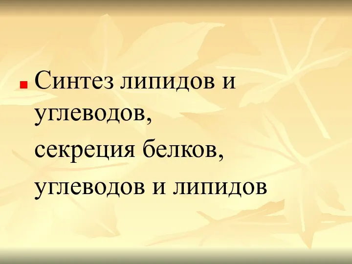 Синтез липидов и углеводов, секреция белков, углеводов и липидов