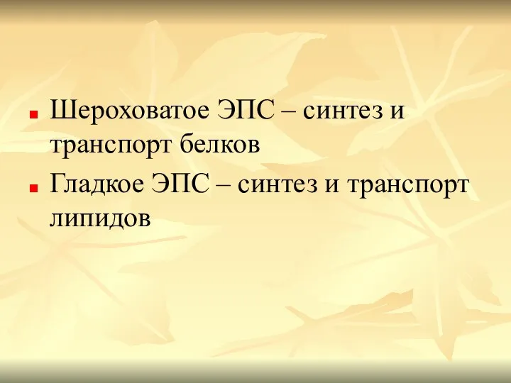 Шероховатое ЭПС – синтез и транспорт белков Гладкое ЭПС – синтез и транспорт липидов