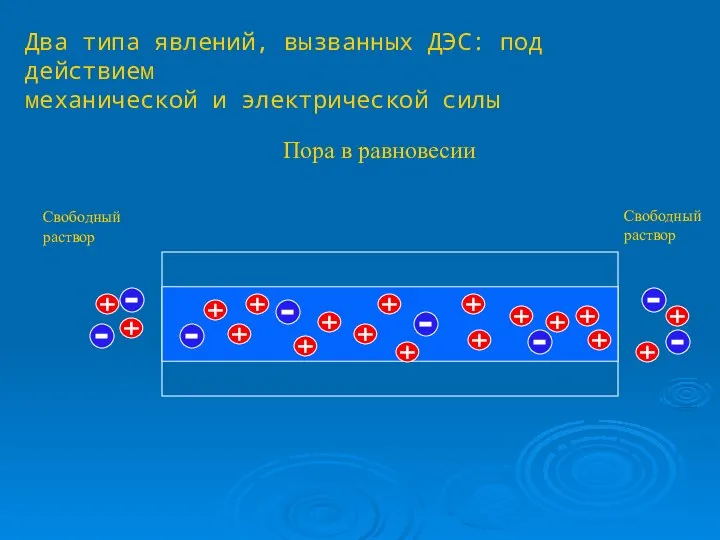 Два типа явлений, вызванных ДЭС: под действием механической и электрической силы Свободный