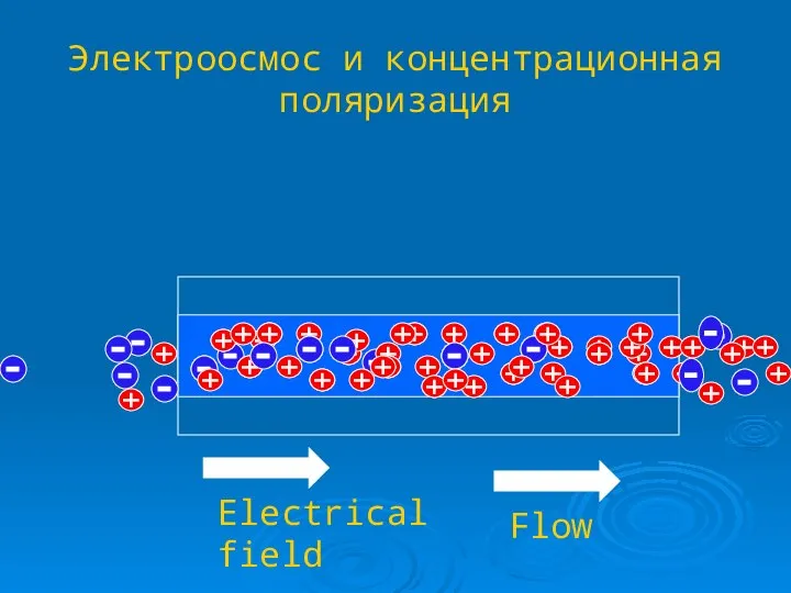 Электроосмос и концентрационная поляризация