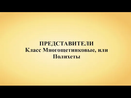 ПРЕДСТАВИТЕЛИ Класс Многощетинковые, или Полихеты