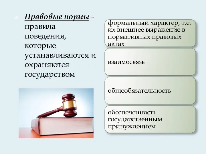 Правовые нормы - правила поведения, которые устанавливаются и охраняются государством