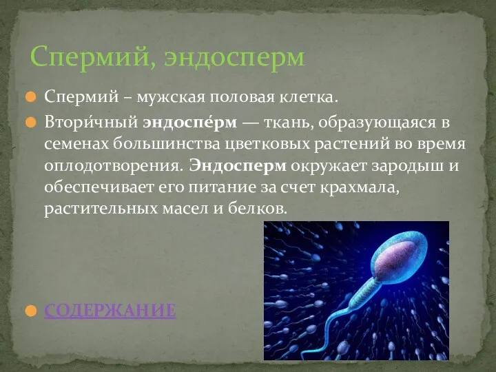 Спермий – мужская половая клетка. Втори́чный эндоспе́рм — ткань, образующаяся в семенах