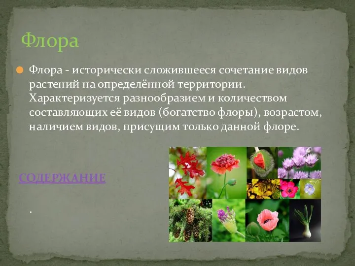 Флора - исторически сложившееся сочетание видов растений на определённой территории. Характеризуется разнообразием