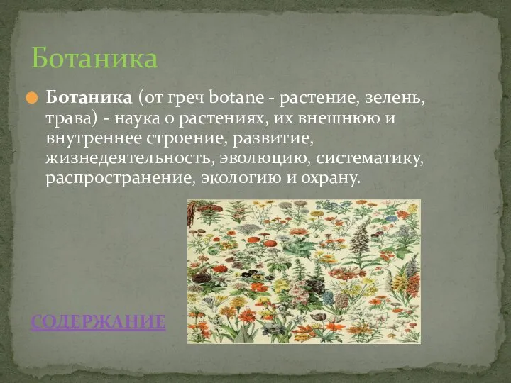 Ботаника (от греч botane - растение, зелень, трава) - наука о растениях,