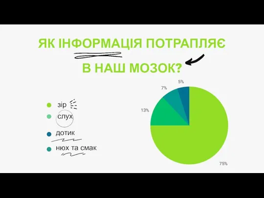 ЯК ІНФОРМАЦІЯ ПОТРАПЛЯЄ В НАШ МОЗОК? зір слух нюх та смак дотик