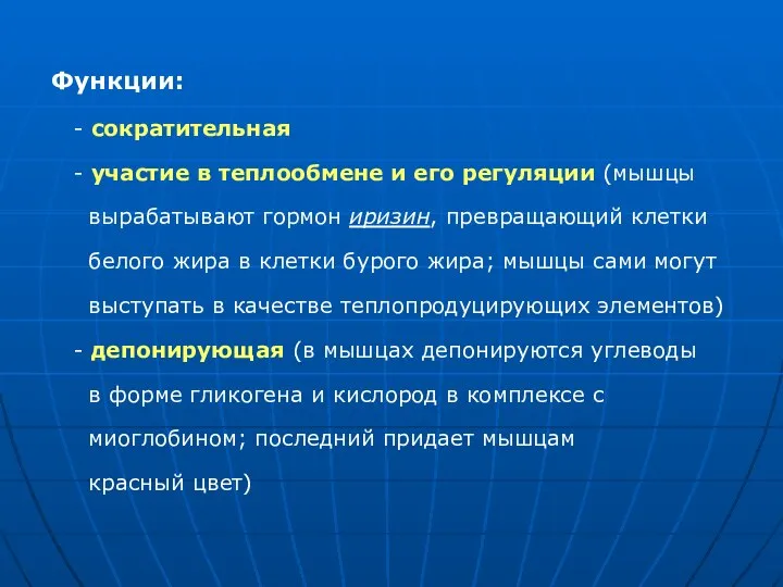 Функции: - сократительная - участие в теплообмене и его регуляции (мышцы вырабатывают