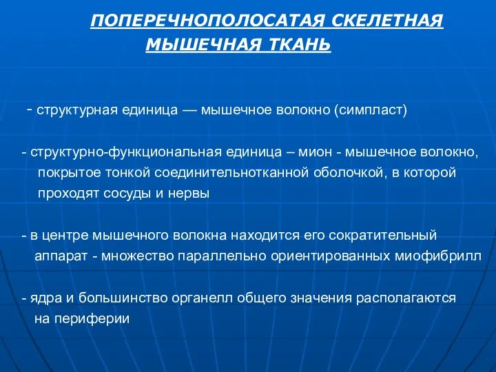 ПОПЕРЕЧНОПОЛОСАТАЯ СКЕЛЕТНАЯ МЫШЕЧНАЯ ТКАНЬ - структурная единица — мышечное волокно (симпласт) структурно-функциональная