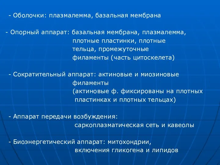 - Оболочки: плазмалемма, базальная мембрана Опорный аппарат: базальная мембрана, плазмалемма, плотные пластинки,