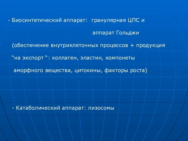 Биосинтетический аппарат: гранулярная ЦПС и аппарат Гольджи (обеспечение внутриклеточных процессов + продукция