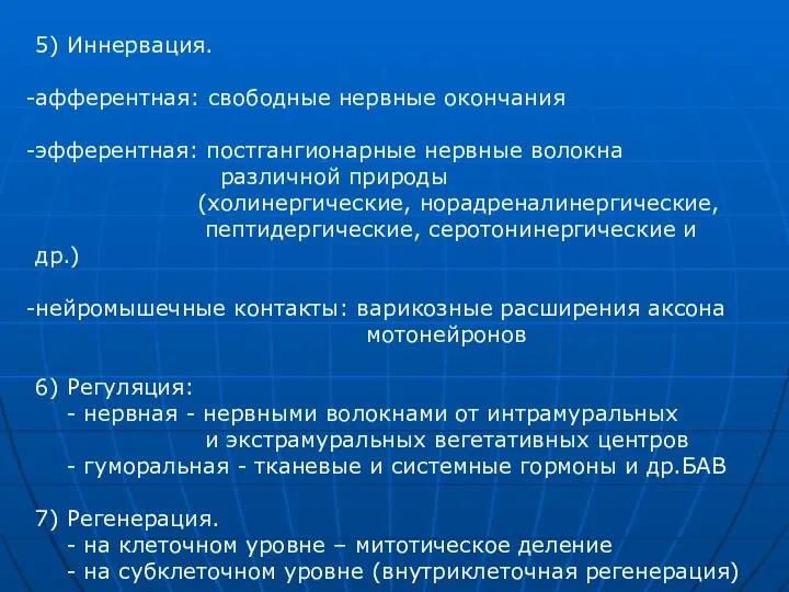 5) Иннервация. афферентная: свободные нервные окончания эфферентная: постгангионарные нервные волокна различной природы