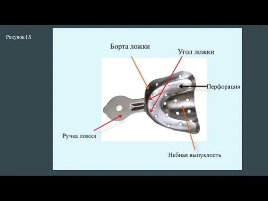 Рисунок 1.5