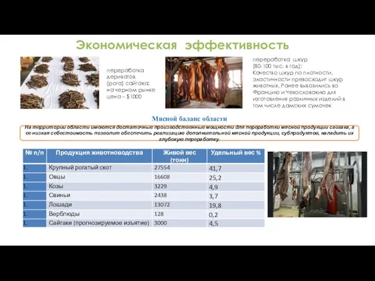 переработка шкур (80-100 тыс. в год); Качество шкур по плотности, эластичности превосходит