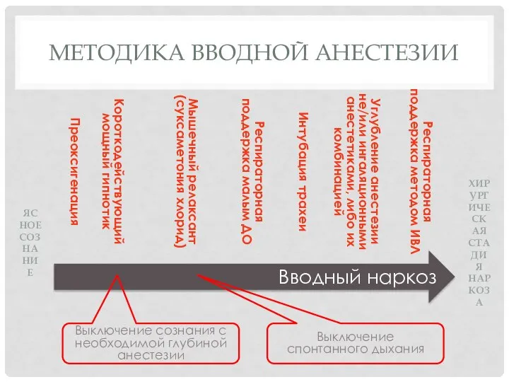 МЕТОДИКА ВВОДНОЙ АНЕСТЕЗИИ Вводный наркоз ЯСНОЕ СОЗНАНИЕ ХИРУРГИЧЕСКАЯ СТАДИЯ НАРКОЗА Преоксигенация Мышечный