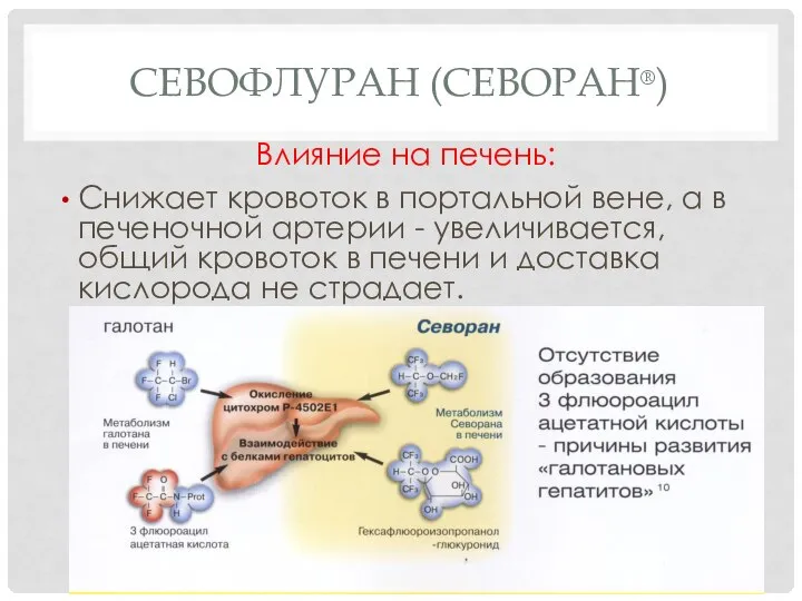 СЕВОФЛУРАН (СЕВОРАН®) Влияние на печень: Снижает кровоток в портальной вене, а в