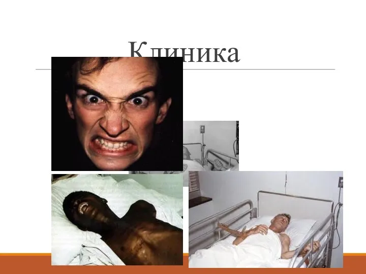 Клиника