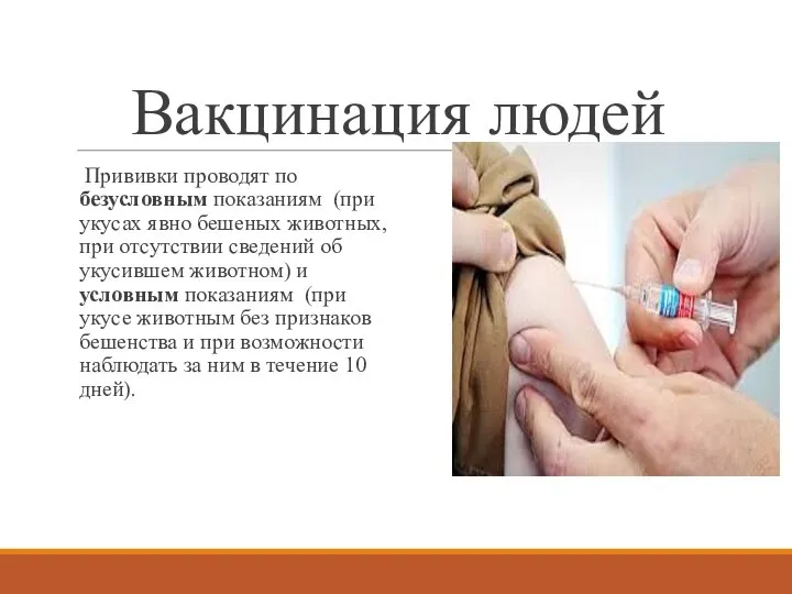 Вакцинация людей Прививки проводят по безусловным показаниям (при укусах явно бешеных животных,